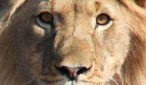 Risk assessmets and Health and Safety Inspections could have preveted this situation