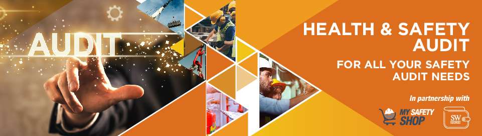 2. Health-and-Safety-Audit